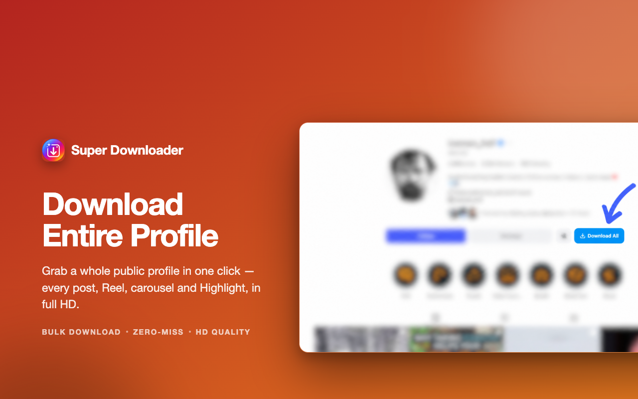 Super Downloader for Instagram — 下载照片、视频、Reels 和限时动态 - 截图 2
