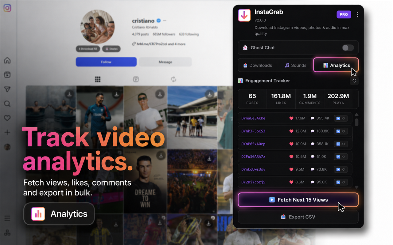 Instagram Downloader - Videos, Reels, Stories, Photos & Audio - 截图 2