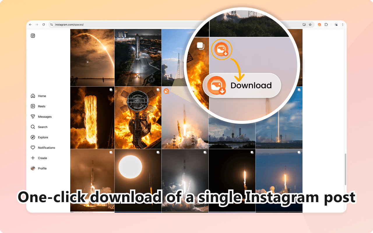 Instagram图片视频下载器 - 截图 1