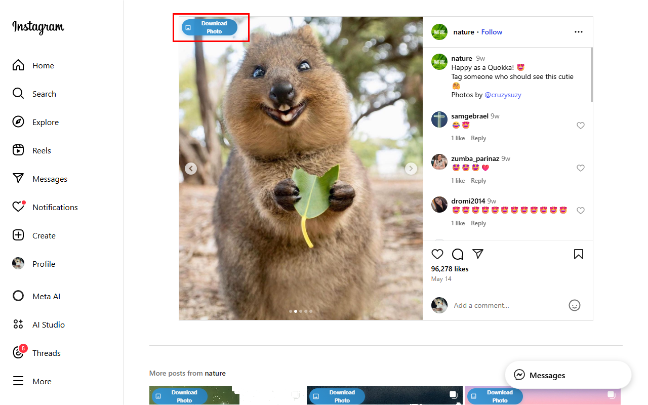 Insget.Net | Instagram Downloader - 截图 1