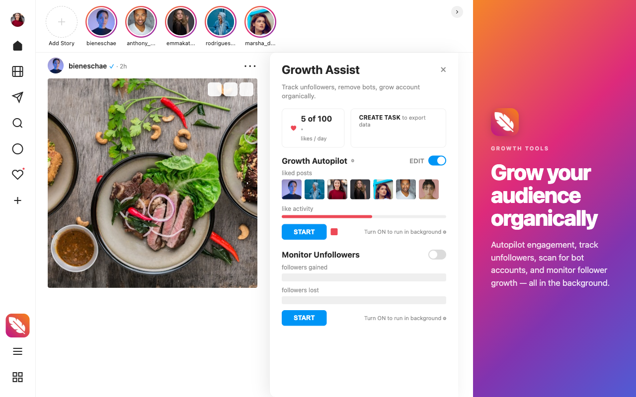 Opalite for Instagram | AI Web Client - 截图 1