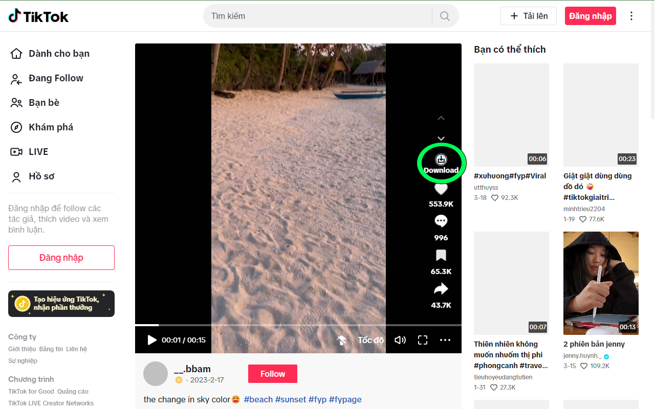 Tiktok Saver - 截图 2