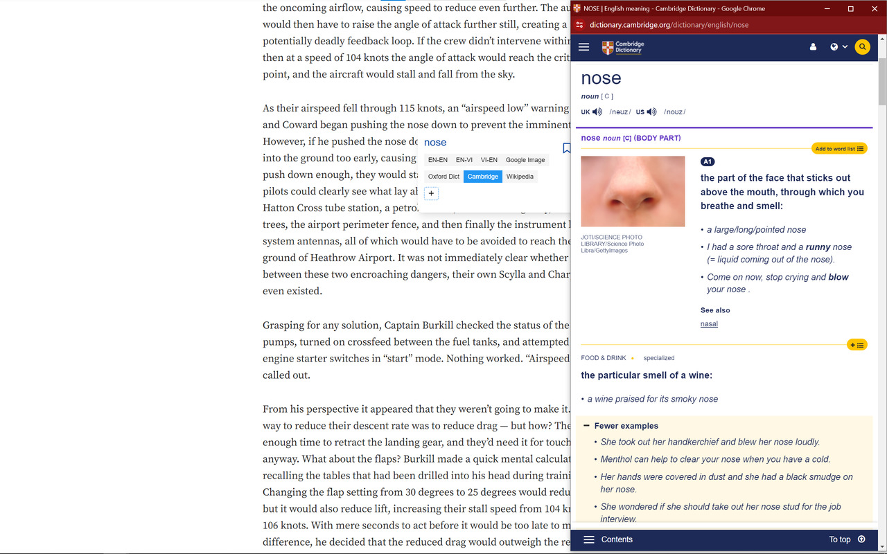 LearnNewWord Vocabulary Building Dictionary AI - 截图 5