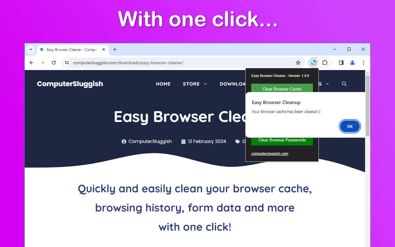 Easy Browser Cleaner - 截图 2