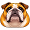 Bullshield - User-Agent & Fingerprint Spoofer