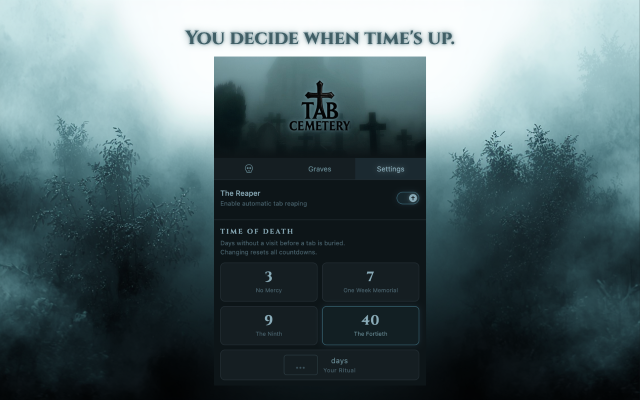Tab Cemetery - Auto Close Inactive Tabs - 截图 4