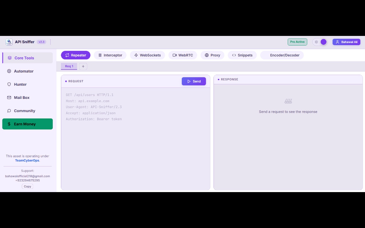 API Sniffer - Endpoint Detector - 截图 1