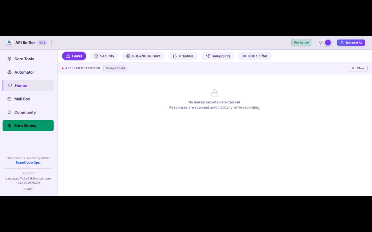 API Sniffer - Endpoint Detector - 截图 2