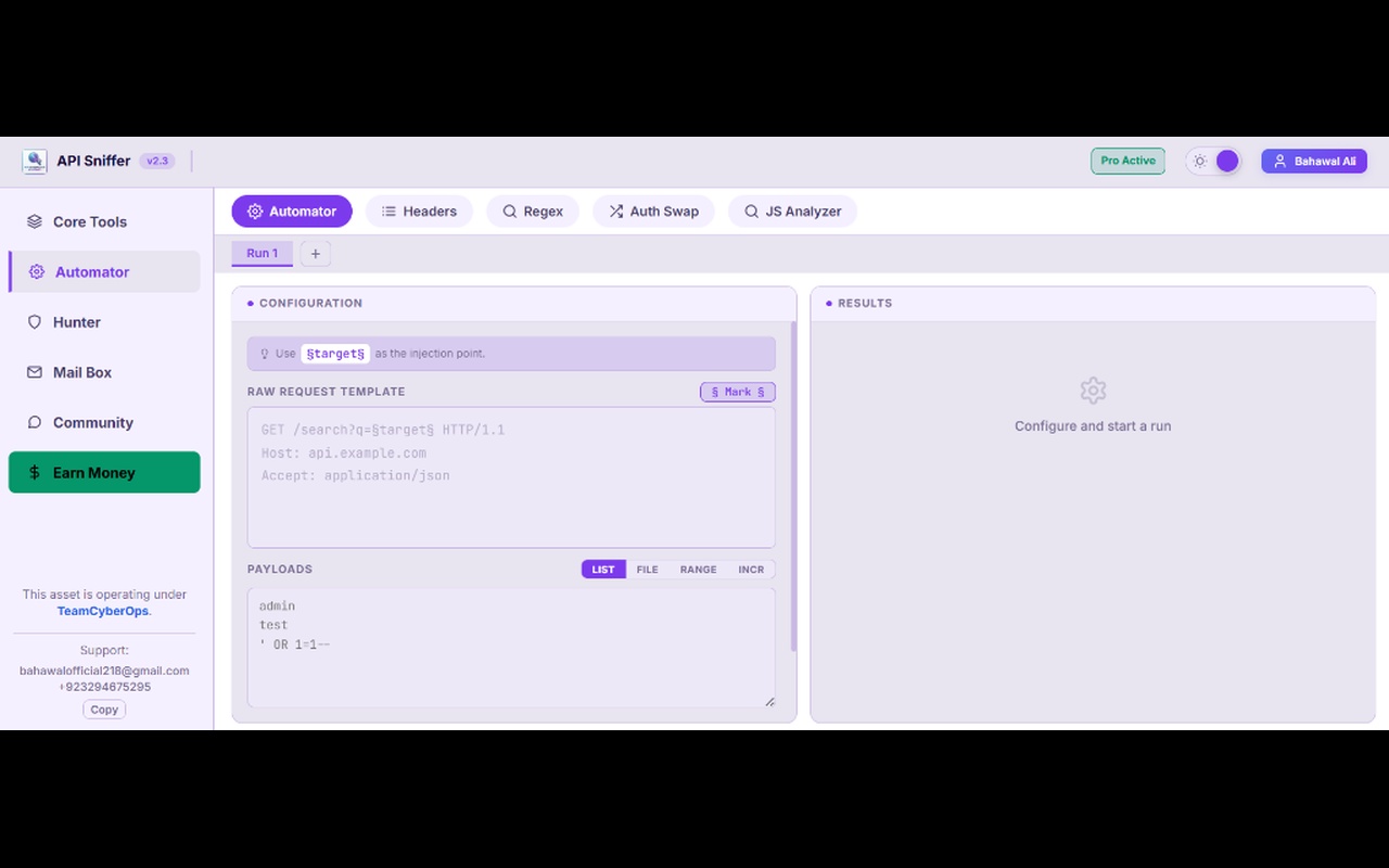 API Sniffer - Endpoint Detector - 截图 3
