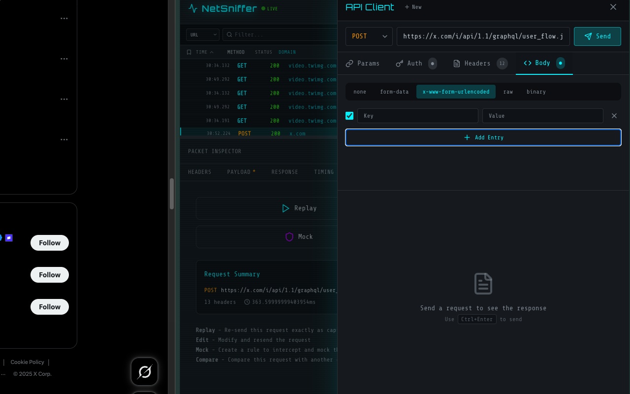 NetSniffer - 截图 5