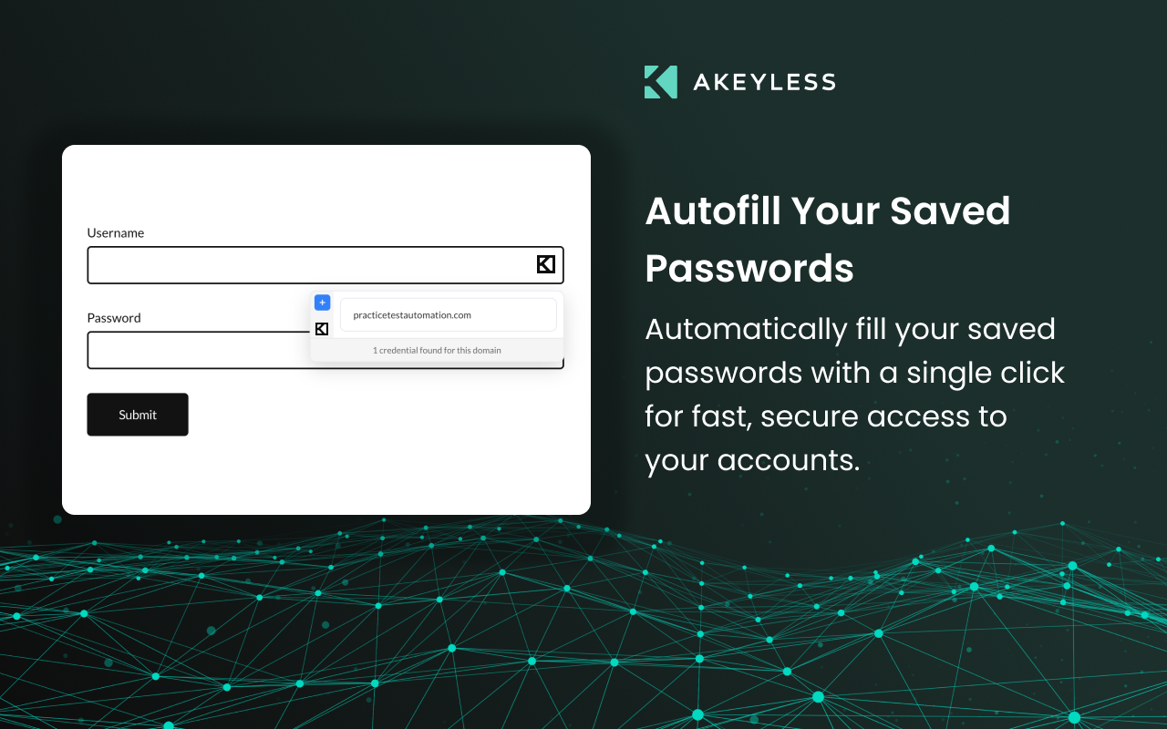 Akeyless SA 2.0 - 截图 2