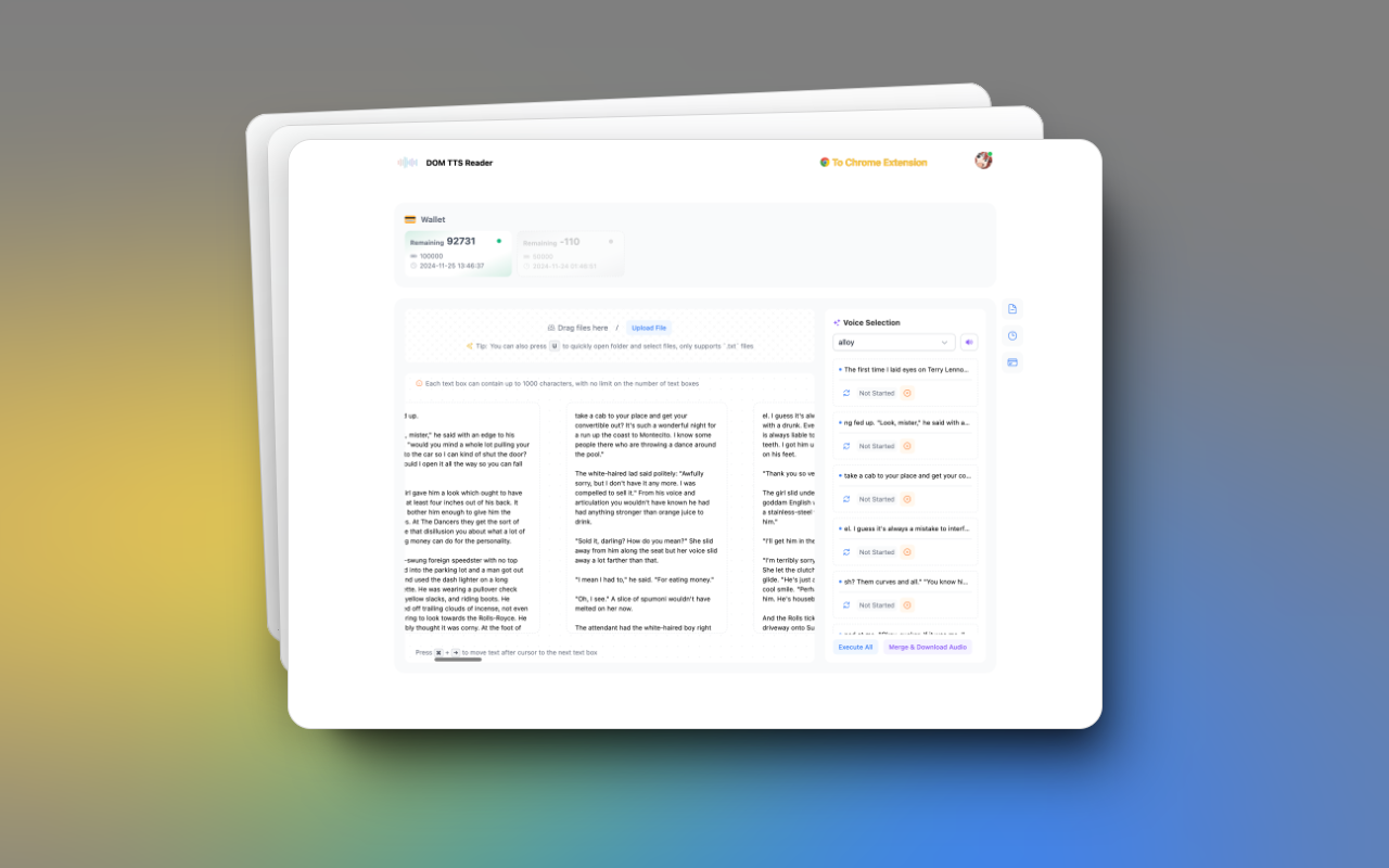 DOM TTS Reader - 截图 3