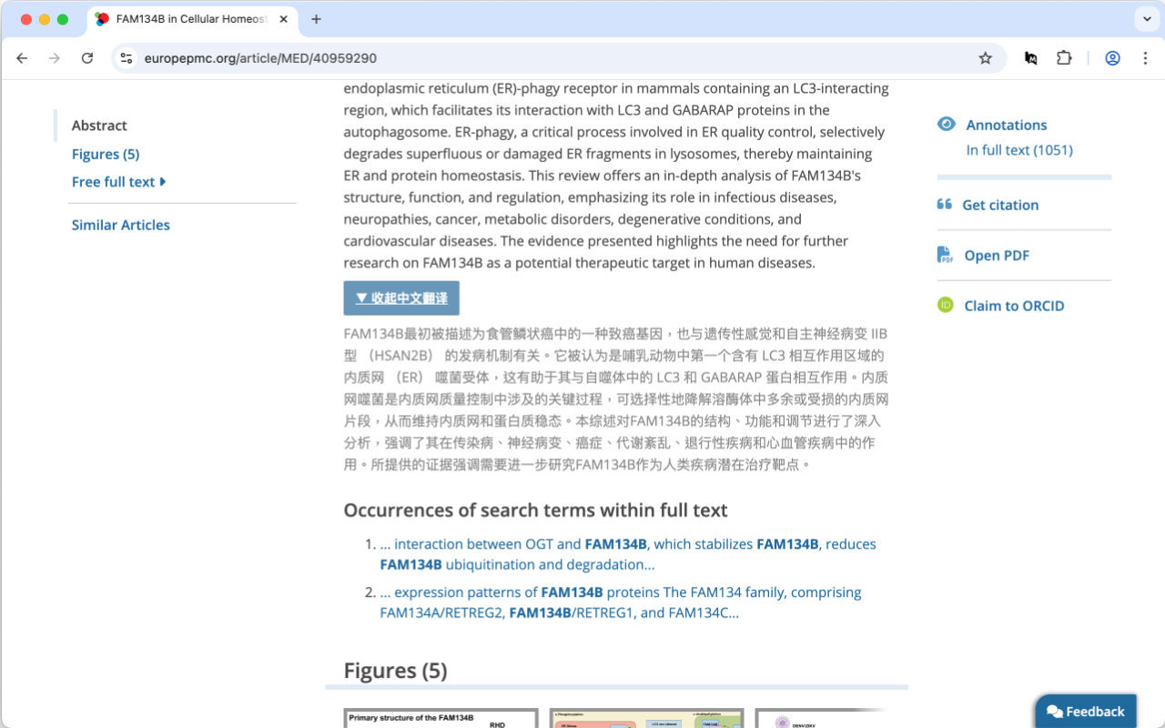 PubMed 文献标题翻译 - 截图 3