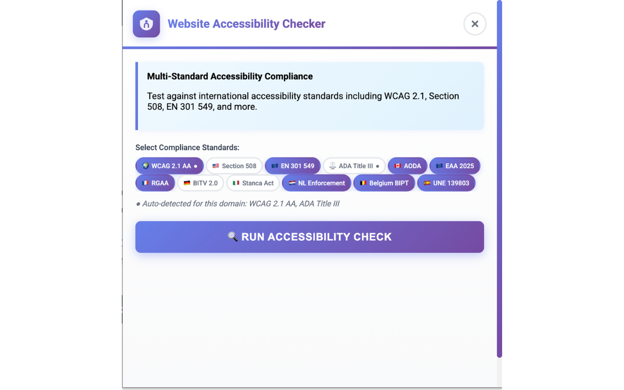 Website Accessibility Checker - 截图 1