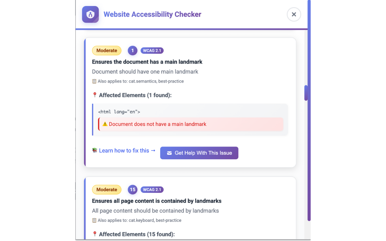 Website Accessibility Checker - 截图 3
