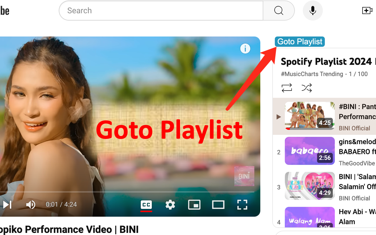 YouTube Playlist Exporter - Support songs list - 截图 4
