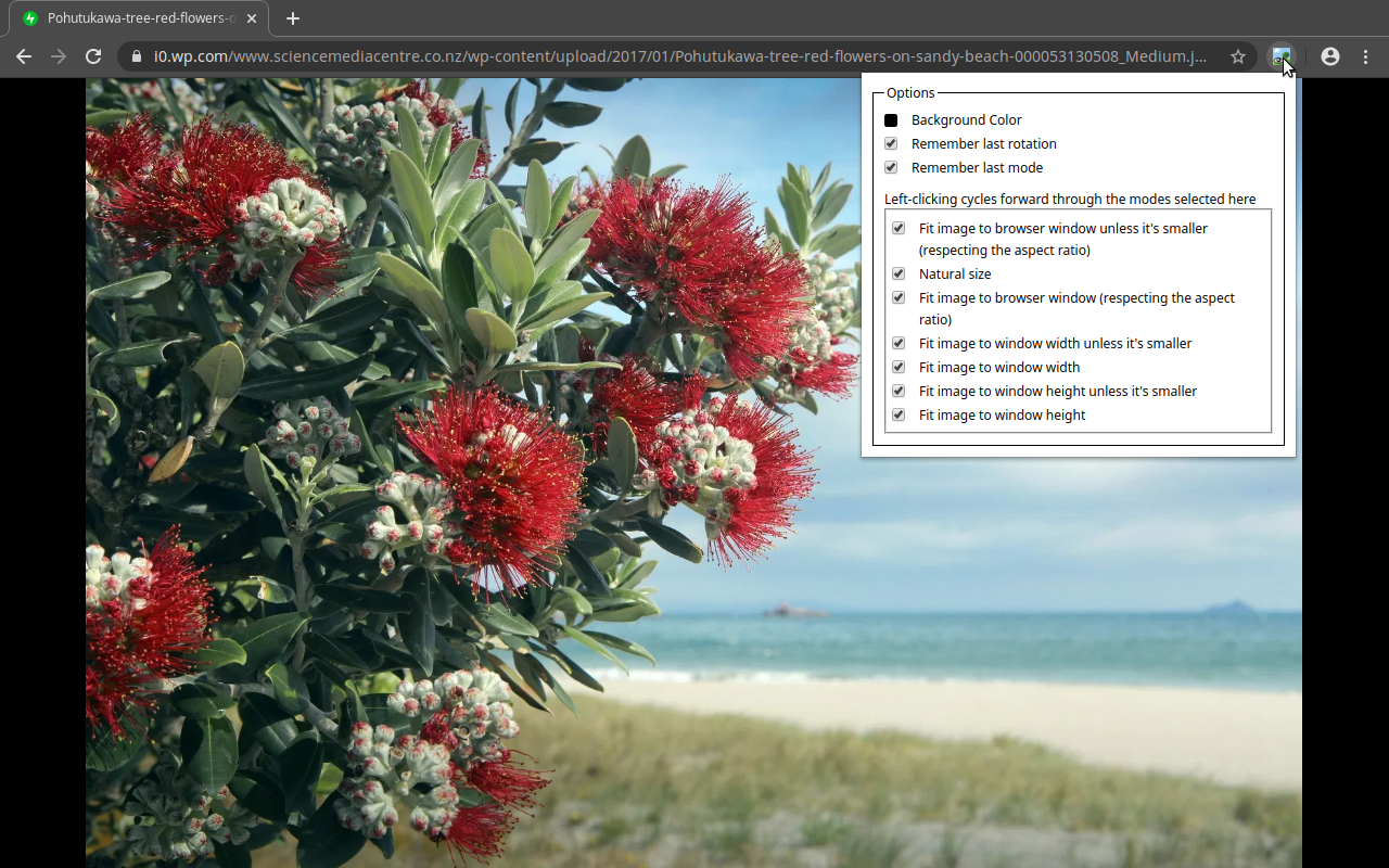 Enhanced Image Viewer - 截图 1