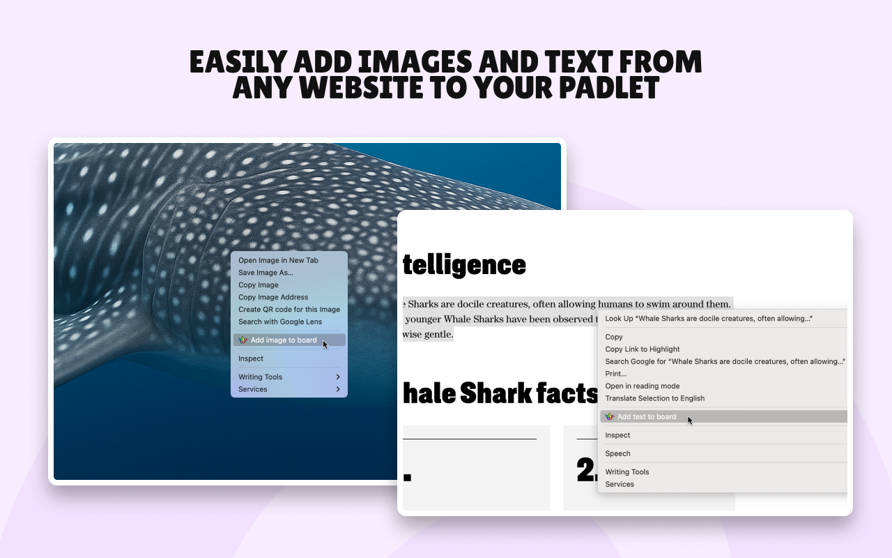 Padlet Mini - 截图 4