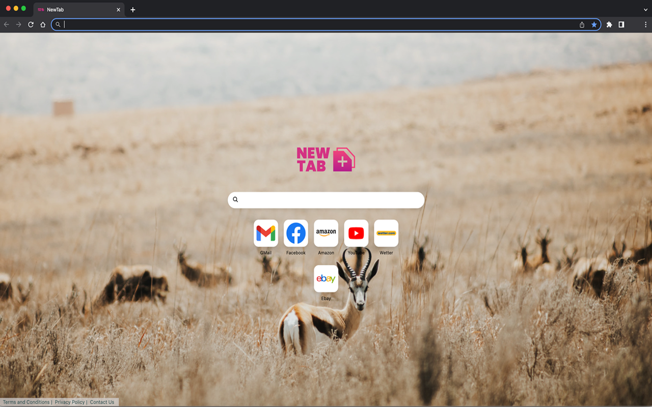 NewTab - 截图 1