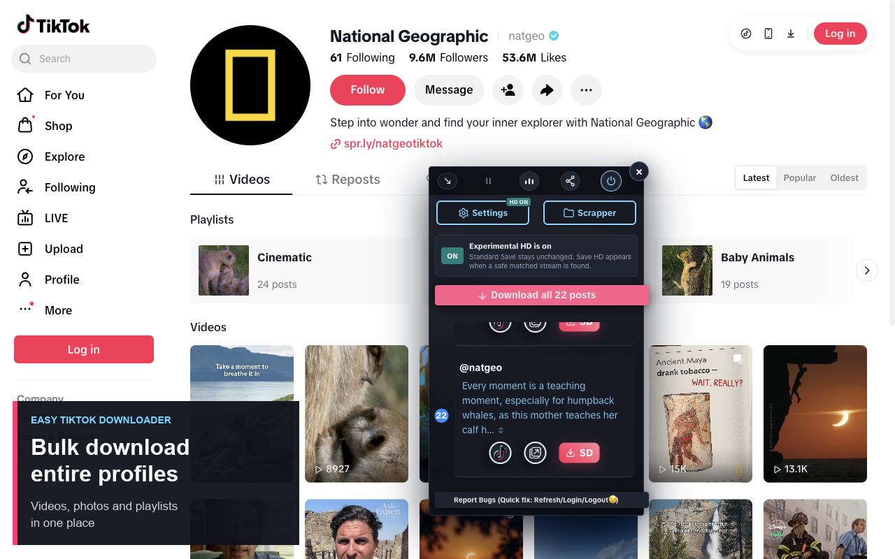Easy TikTok Video Downloader (Remove Watermark) - 截图 2