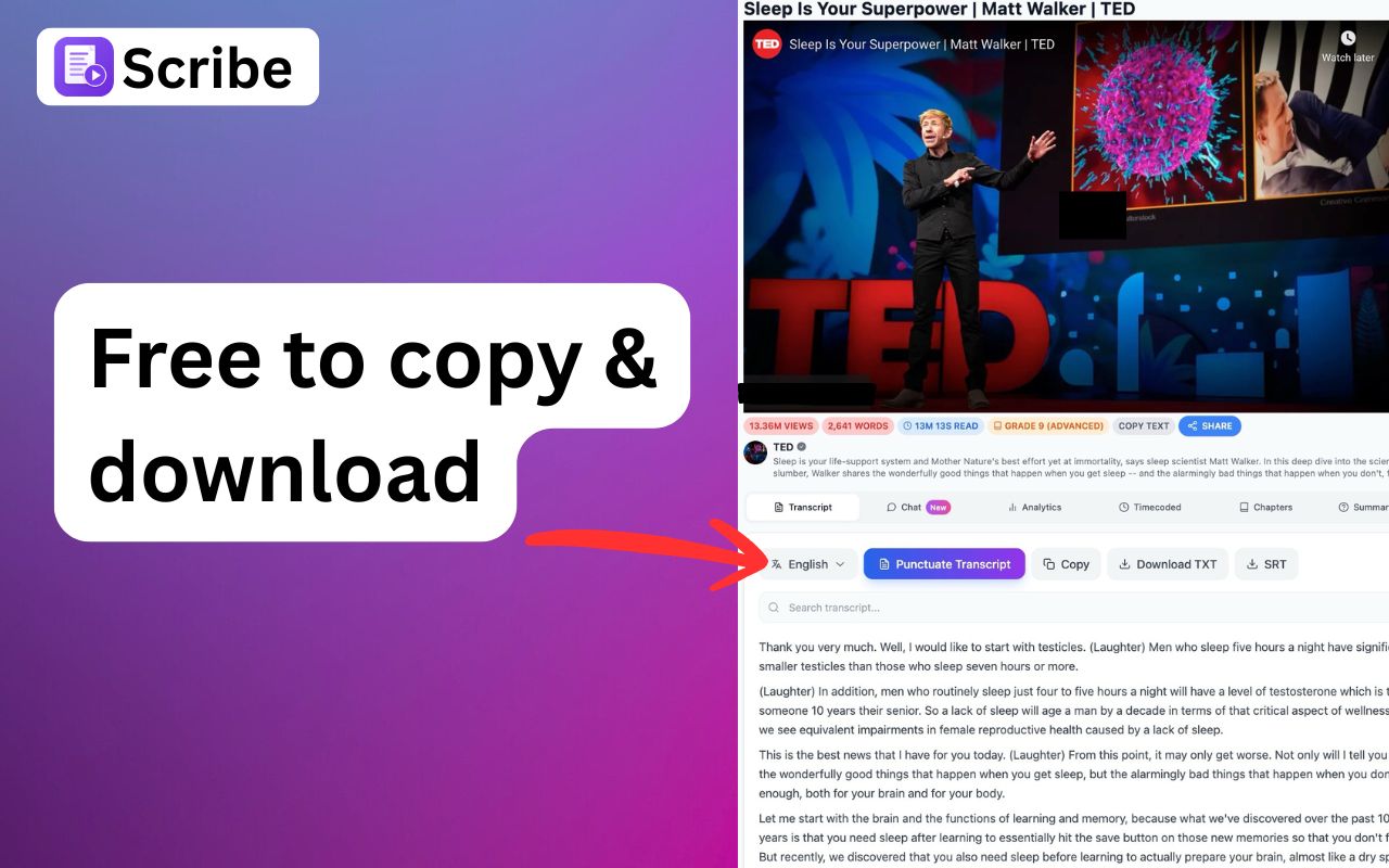 Transcribe & Chat to Videos | Scribe - 截图 4
