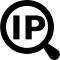 IP 检查器