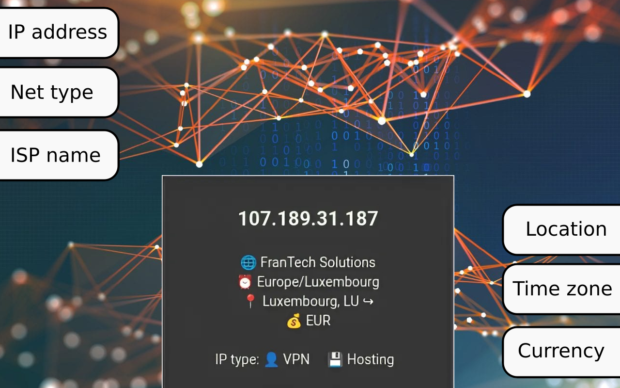 IP 检查器 - 截图 2