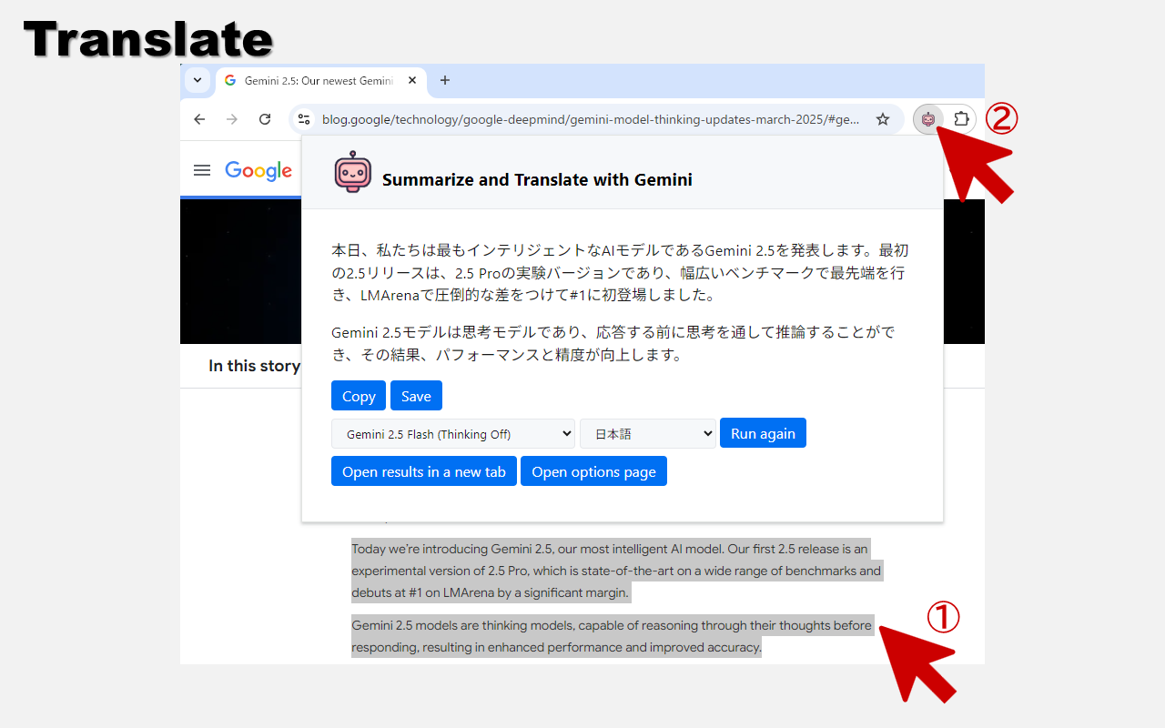使用 Gemini 总结与翻译 - 截图 1