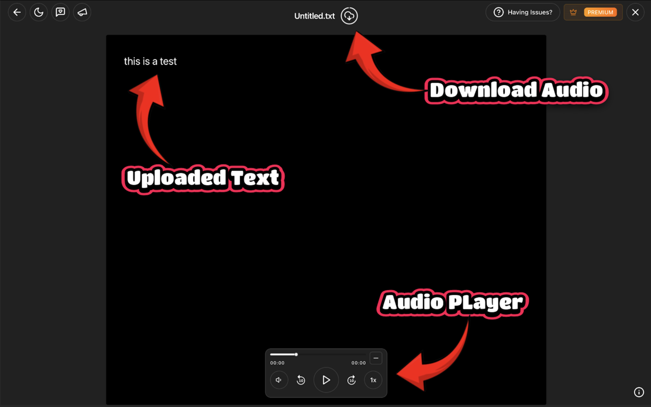 ChatGPT Reader/Transcriber: Free AI Text to Speech/Speech to Text (TTS/STT) - 截图 4