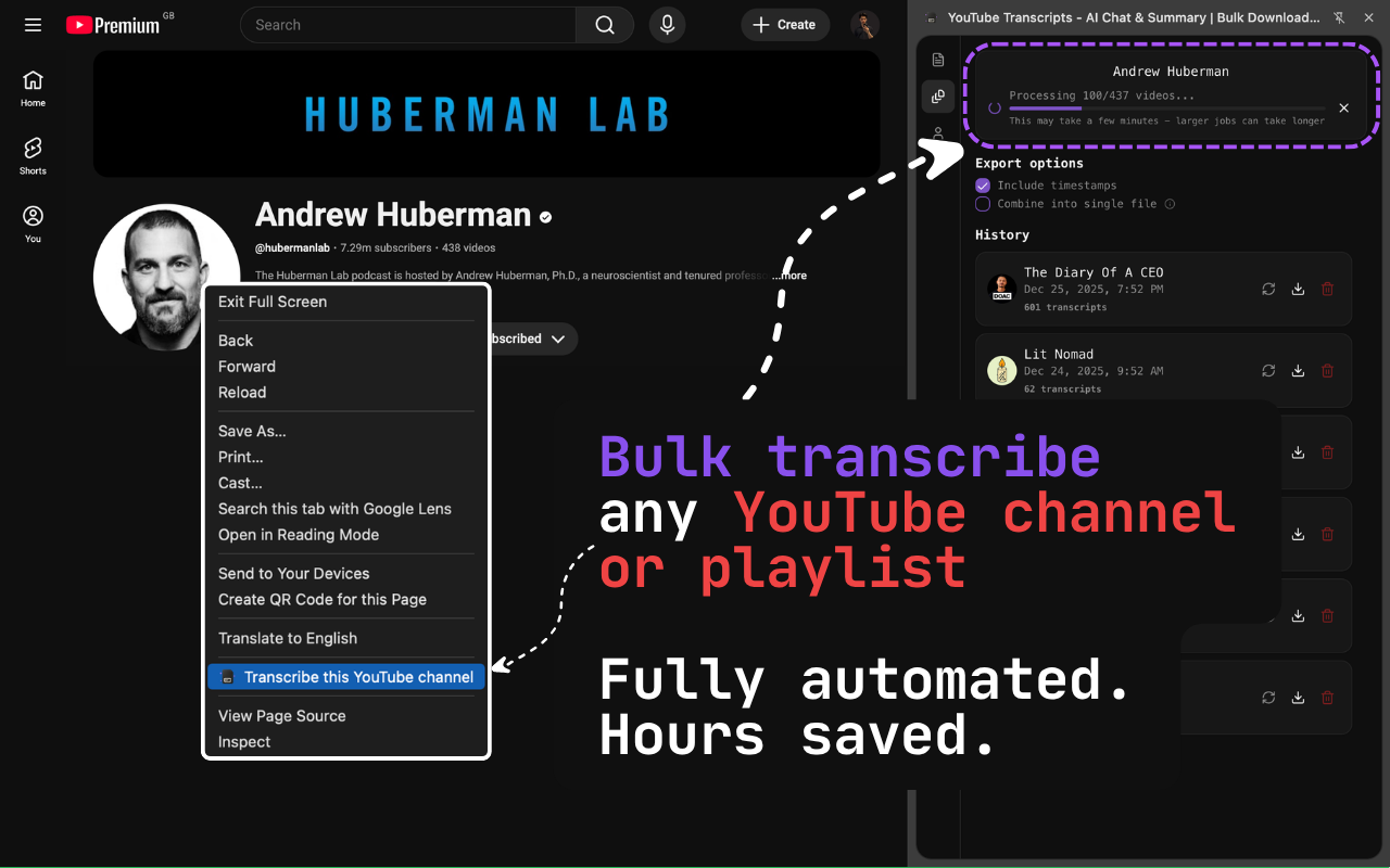 YouTube Transcript Bulk Download, AI Summary & Chat | ChatGPT Claude Gemini - 截图 1
