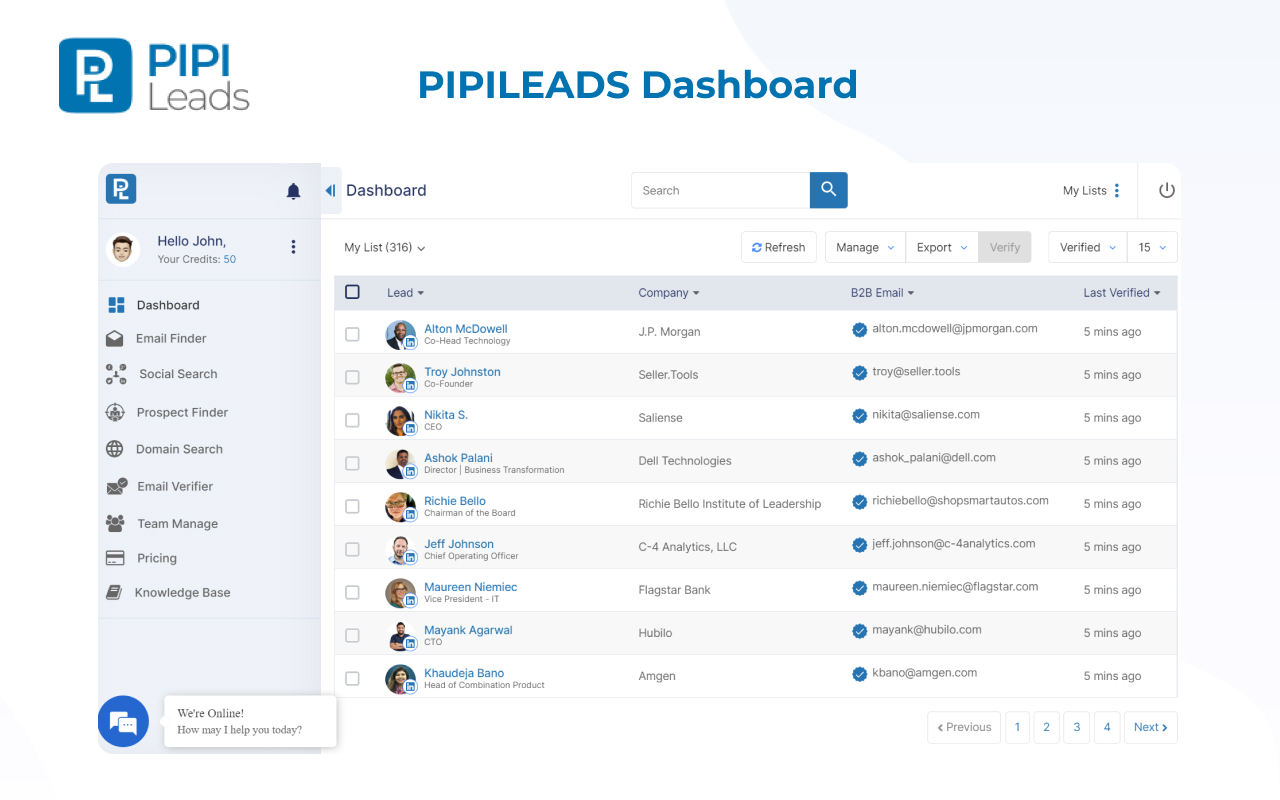 Email Finder – PIPILEADS - 截图 2