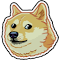 UpDog - TikTok & Instagram Analytics