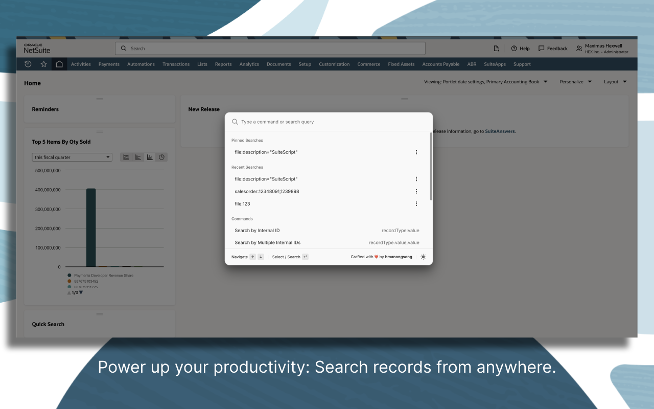 NetSuite QuickSearch Pro - 截图 1