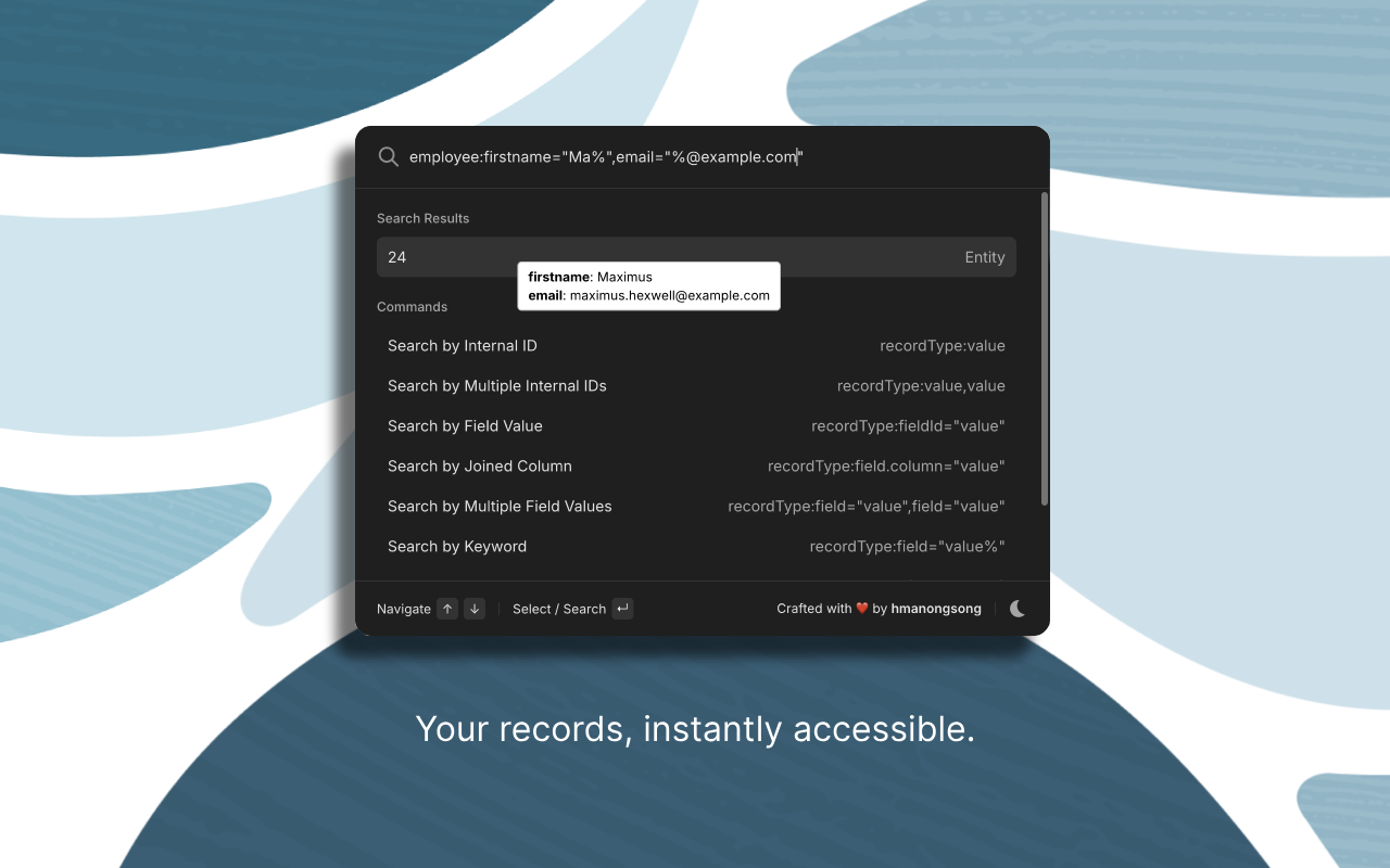 NetSuite QuickSearch Pro - 截图 2