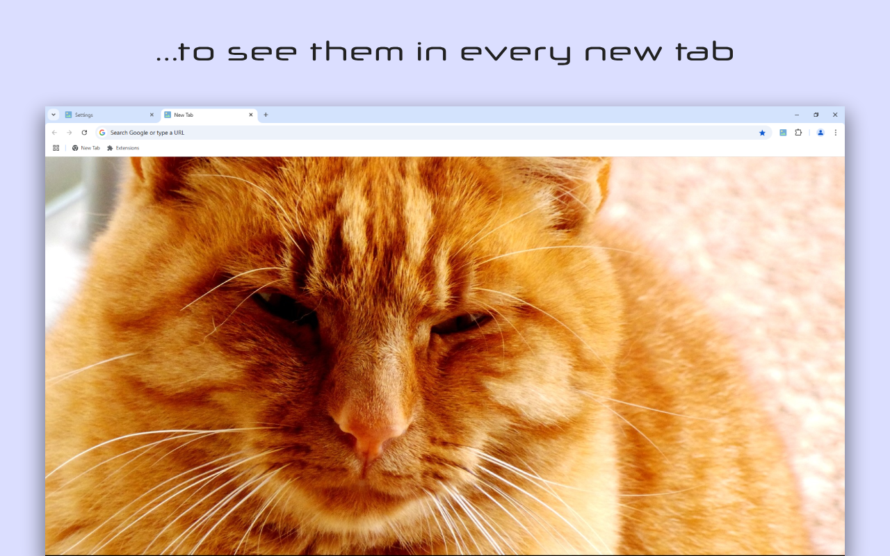 Clear New Tab - 截图 3