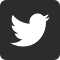 X Twitter视频图片批量下载器