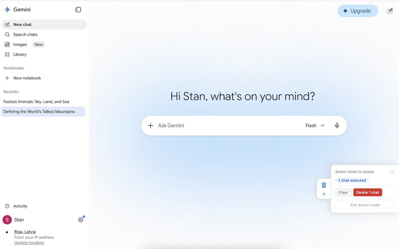 Gemini Chat Cleaner - 截图 2