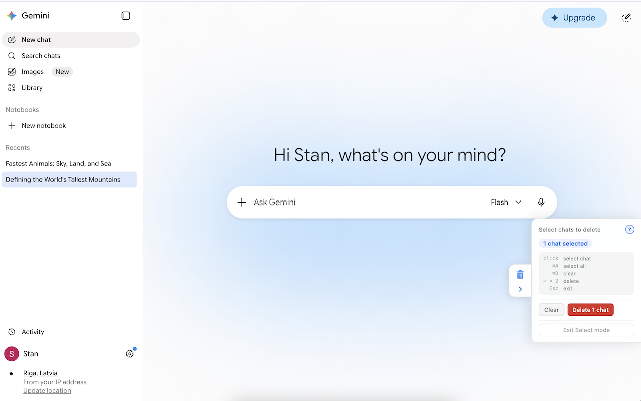 Gemini Chat Cleaner - 截图 3