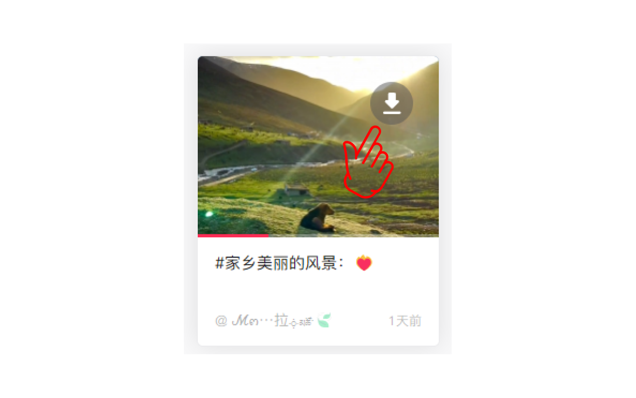 抖音视频下载器 - 截图 2