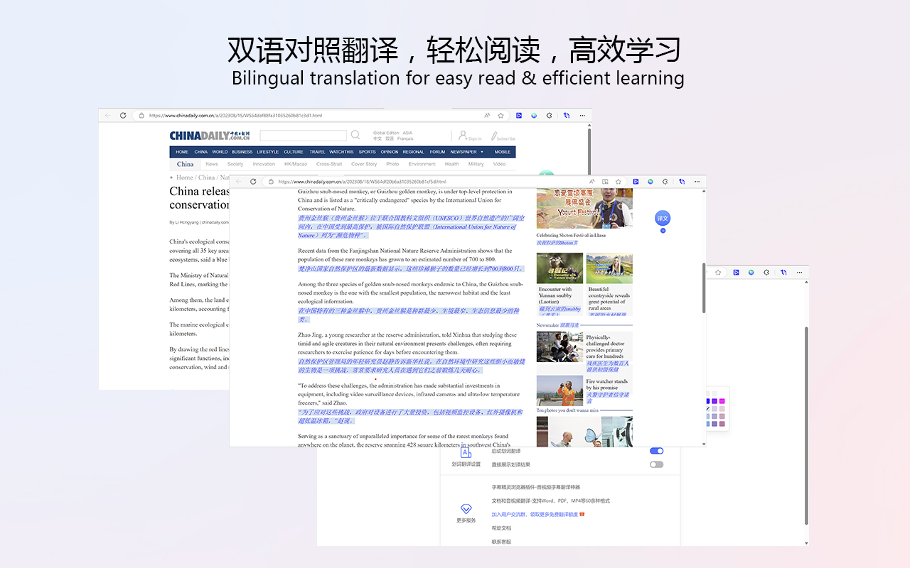 智译网页翻译-自动翻译、双语对照、AI对话 - 截图 4