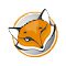FoxyProxy 基础版