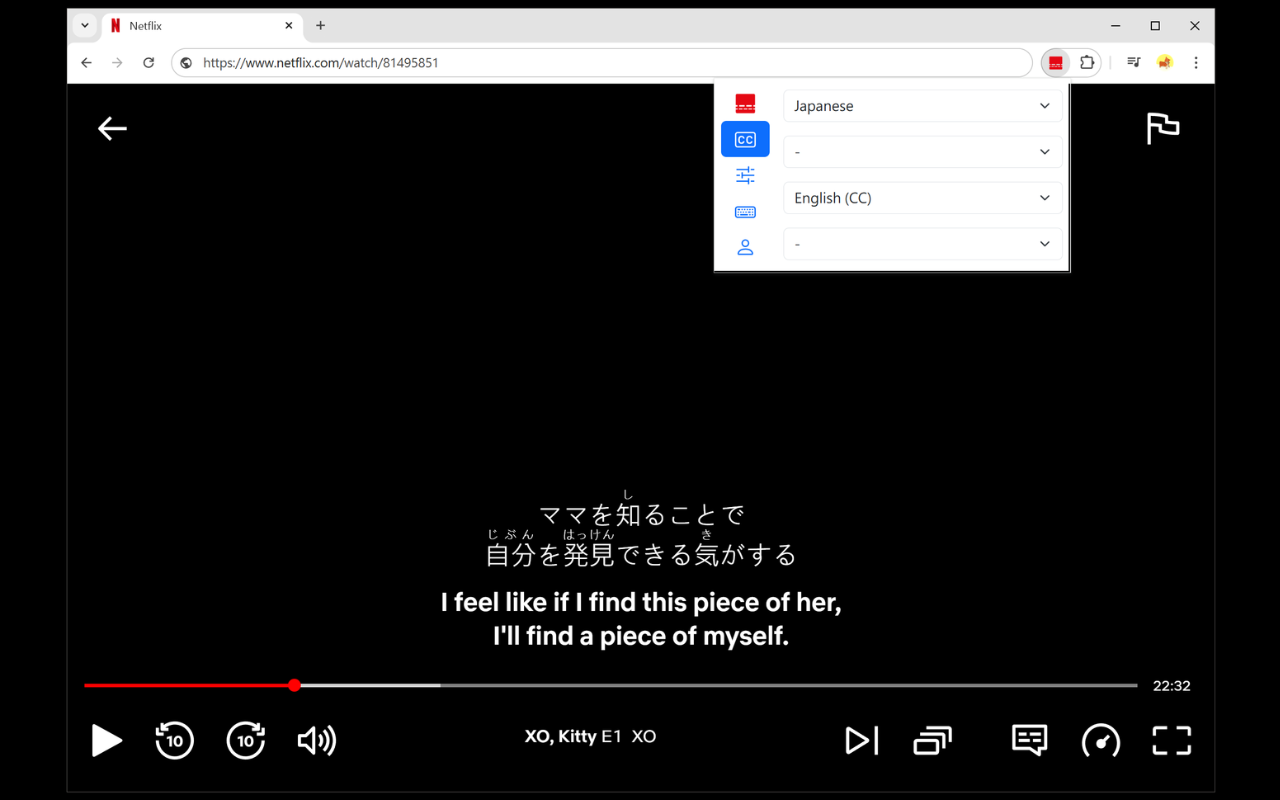 Netflix 双语字幕 - 截图 1