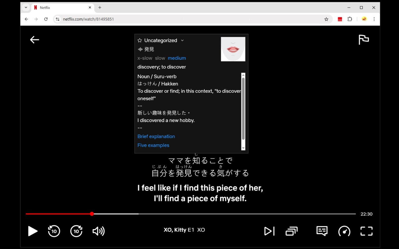 Netflix 双语字幕 - 截图 3