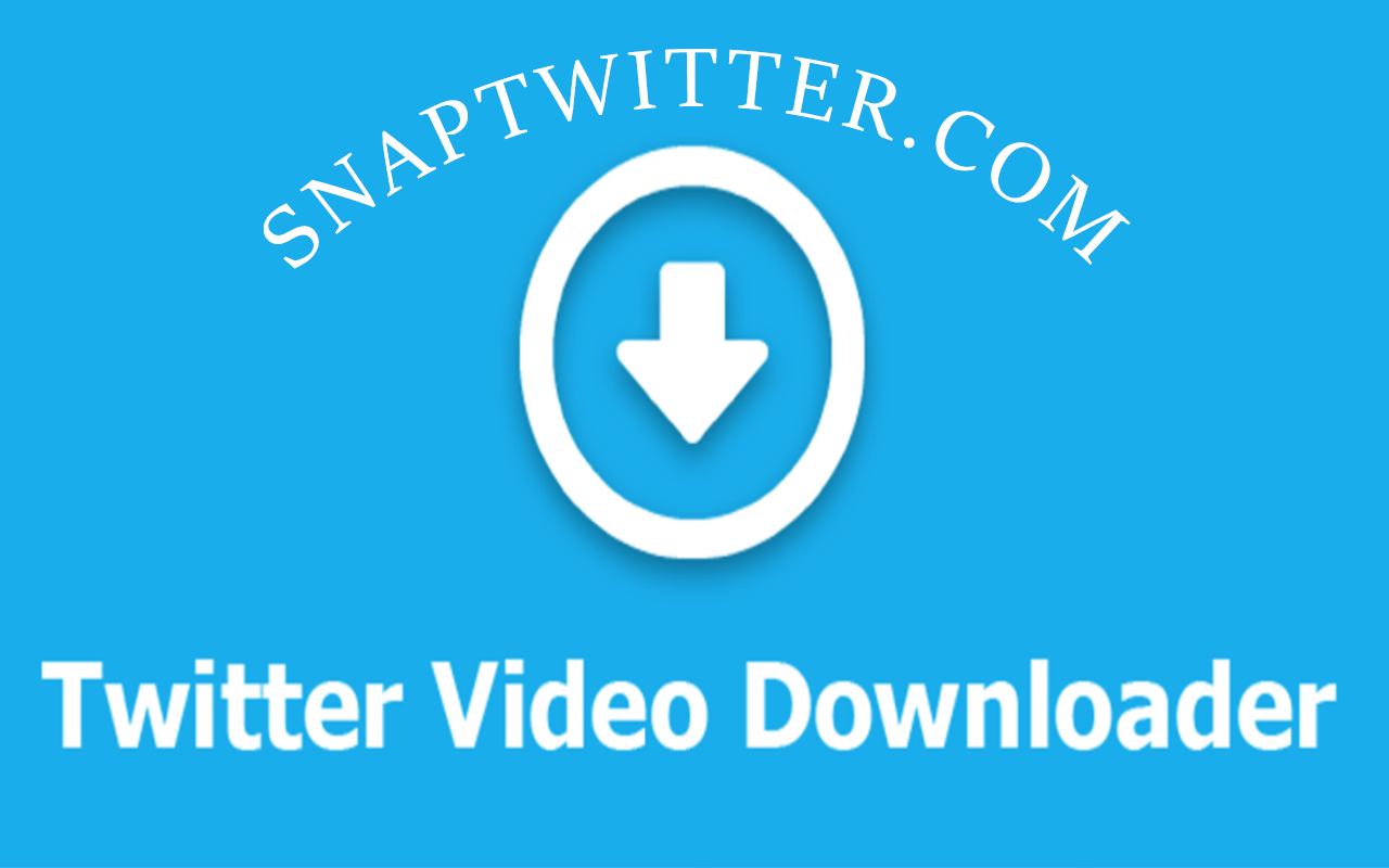 SnapTwitter：Twitter 视频下载 - 截图 2