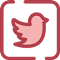 Tweets2PDF - 将所有推文转换为一本PDF/EPUB电子书