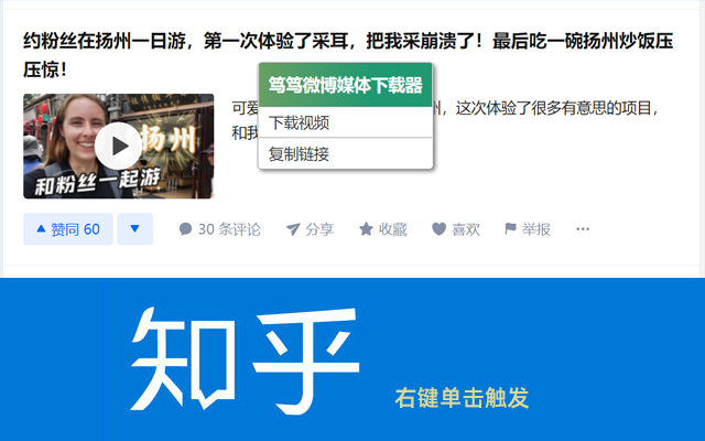 笃笃微博抖音下载器 - 截图 5