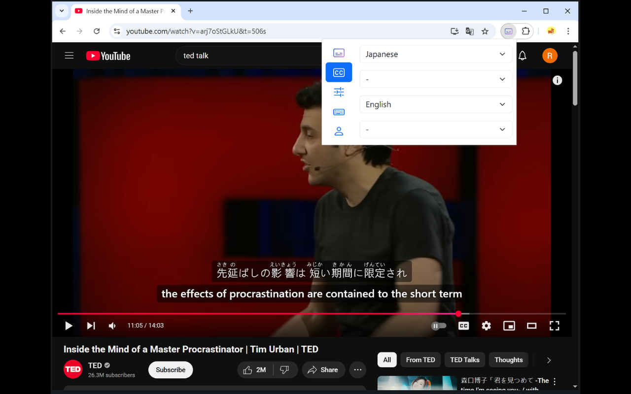 Youtube 双语字幕 - 截图 3