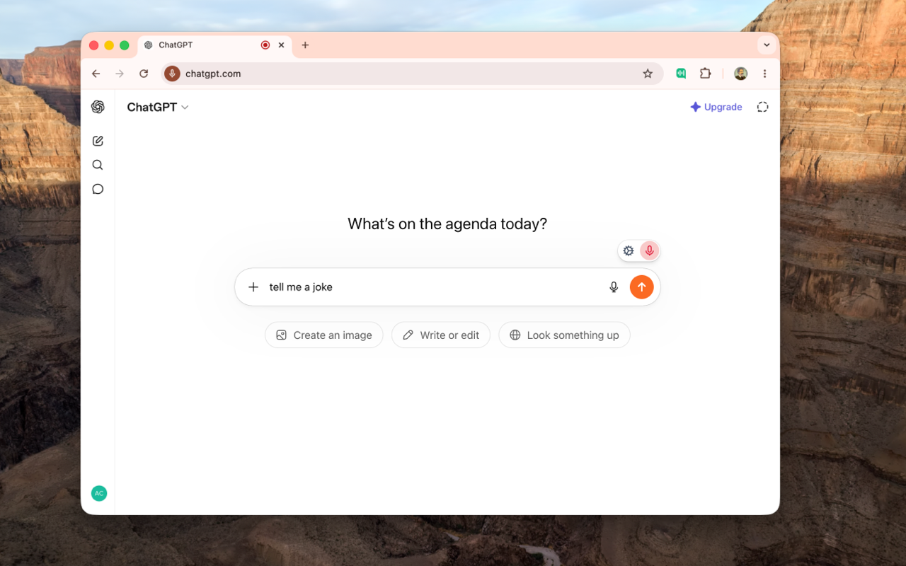 VoiceWave:ChatGPT、DeepSeek、Gemini 等的语音模式 - 截图 3