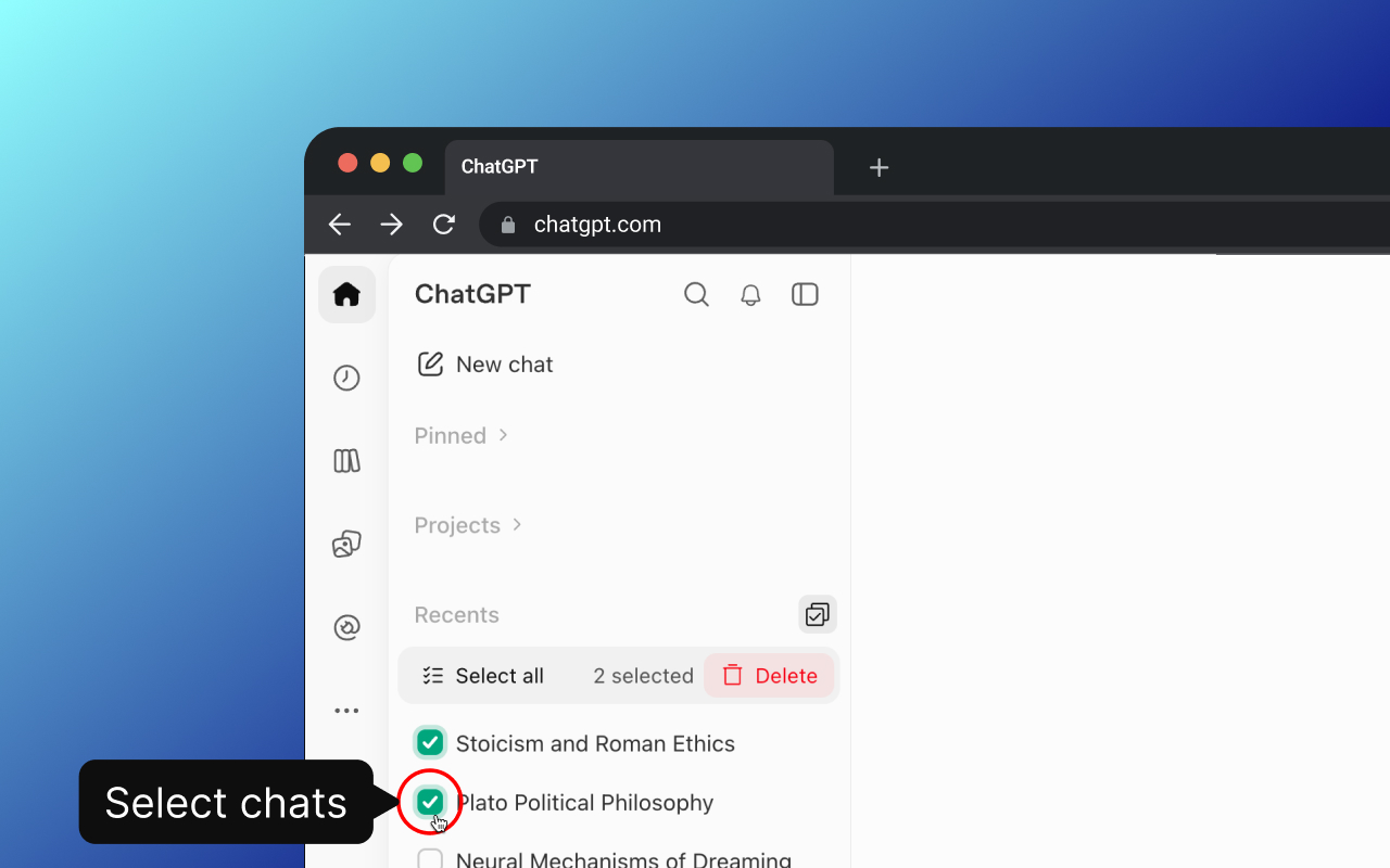 ChatGPT Bulk Delete - 截图 1