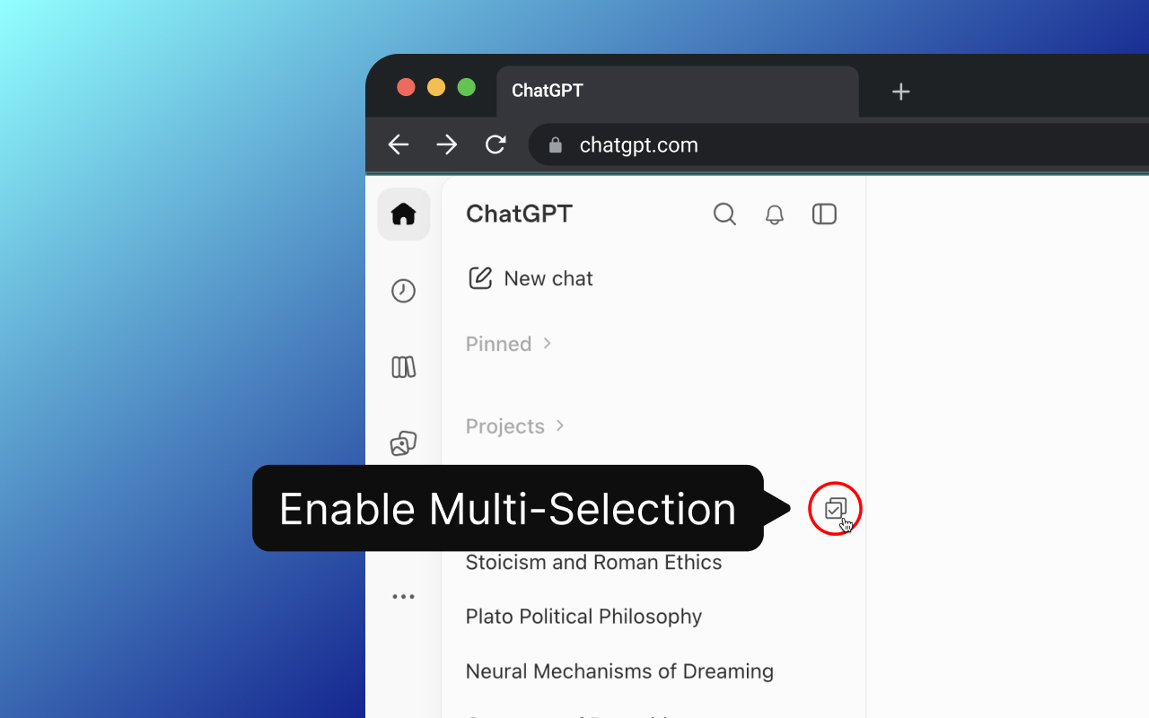 ChatGPT Bulk Delete - 截图 3